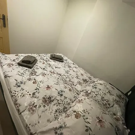 Apartament Jagiellonska 7A/1 Zakopane Zewnętrze zdjęcie